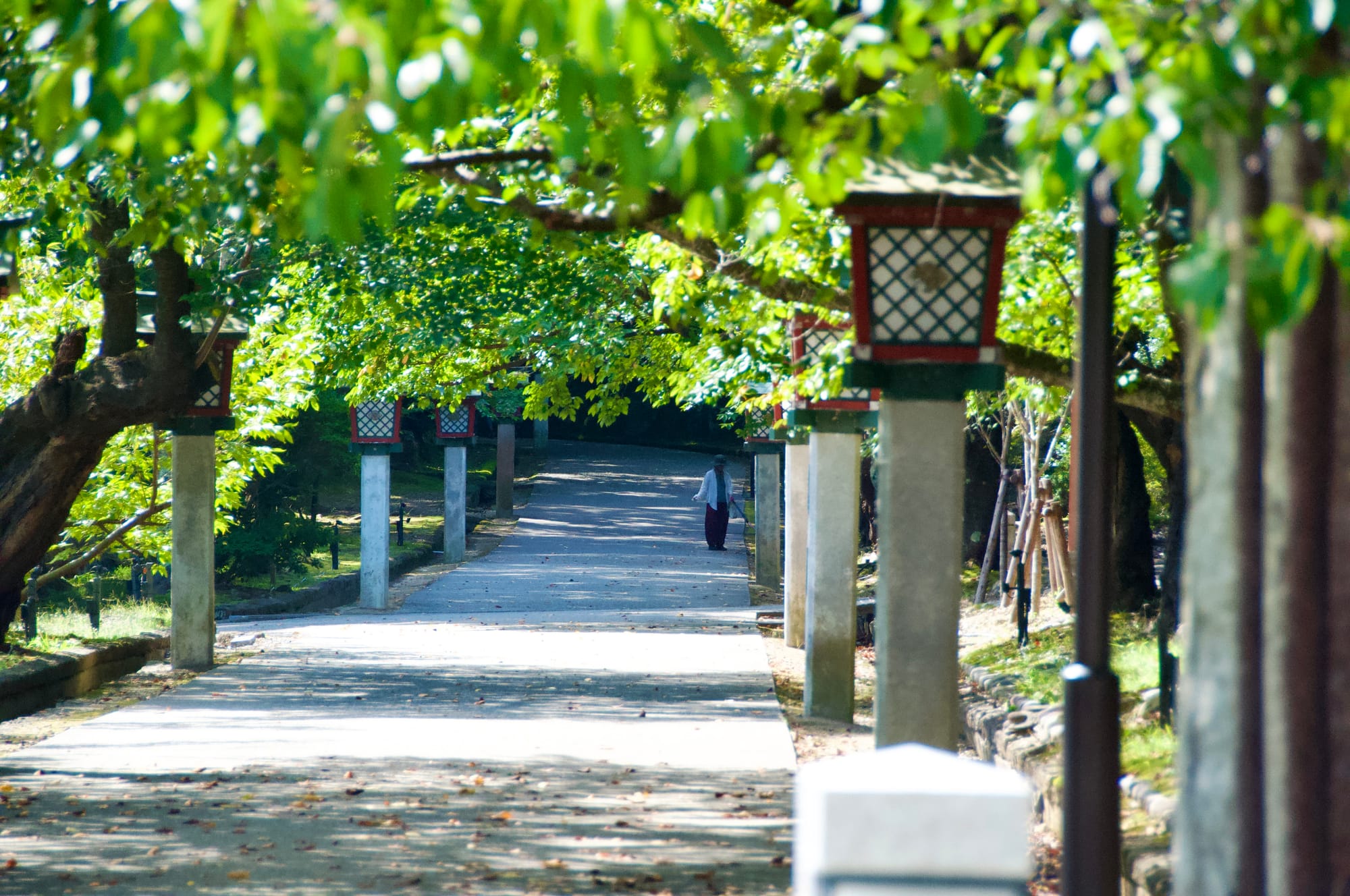 新潟旅遊分享：探訪燕、三条與彌彥村 - 深度體驗在地風情